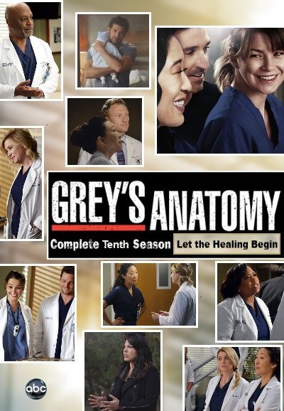 Greys Anatomy Season 10 Episode 9