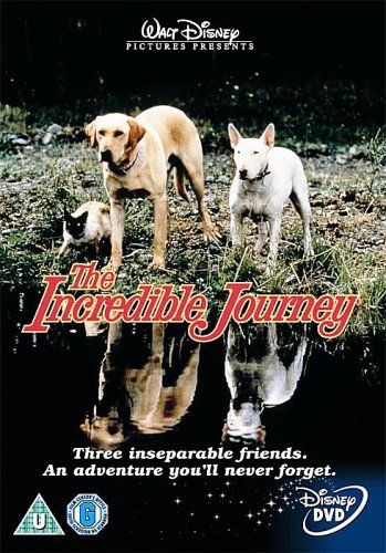 Download the incredible journey 1963