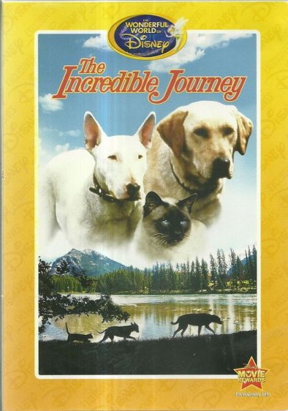Download the incredible journey 1963