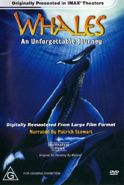 Whales: An Unforgettable Journey (1997) on Collectorz.com Core Movies