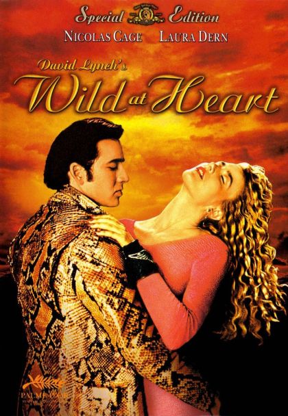 wild at heart 1990 european cut wild at heart 1990 first edition dvd